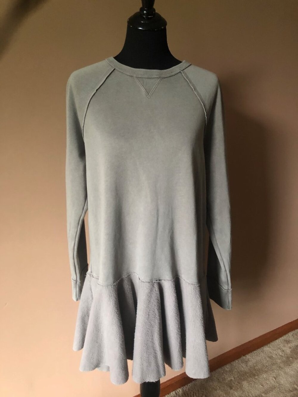 Free People Sweatshirt Tunic Dress